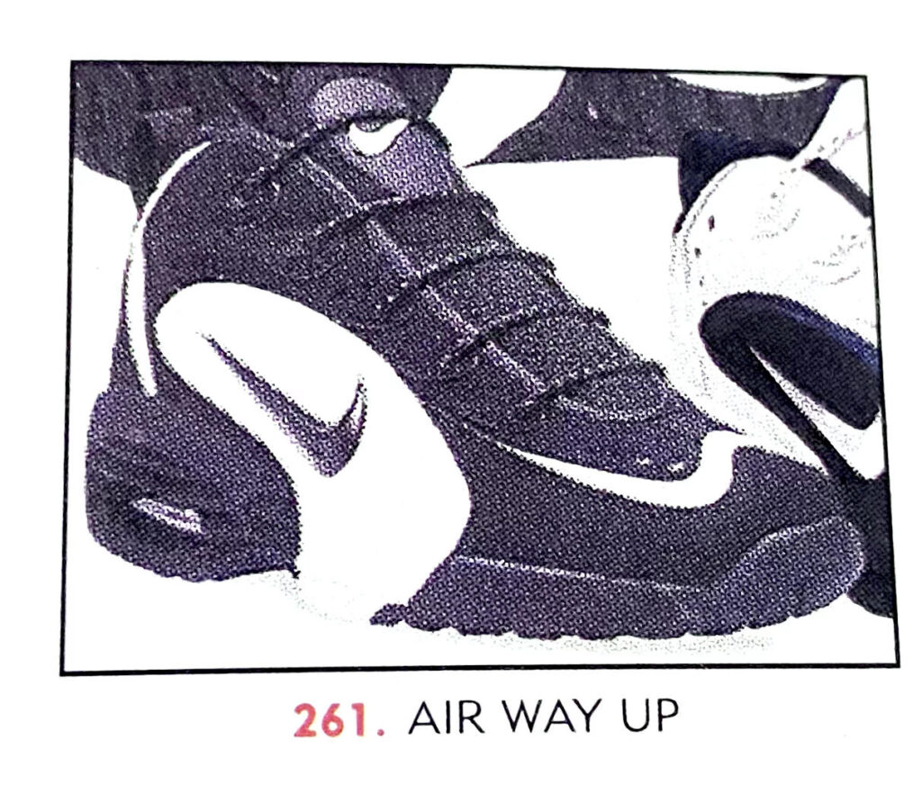 The Nike Air Wayup. 