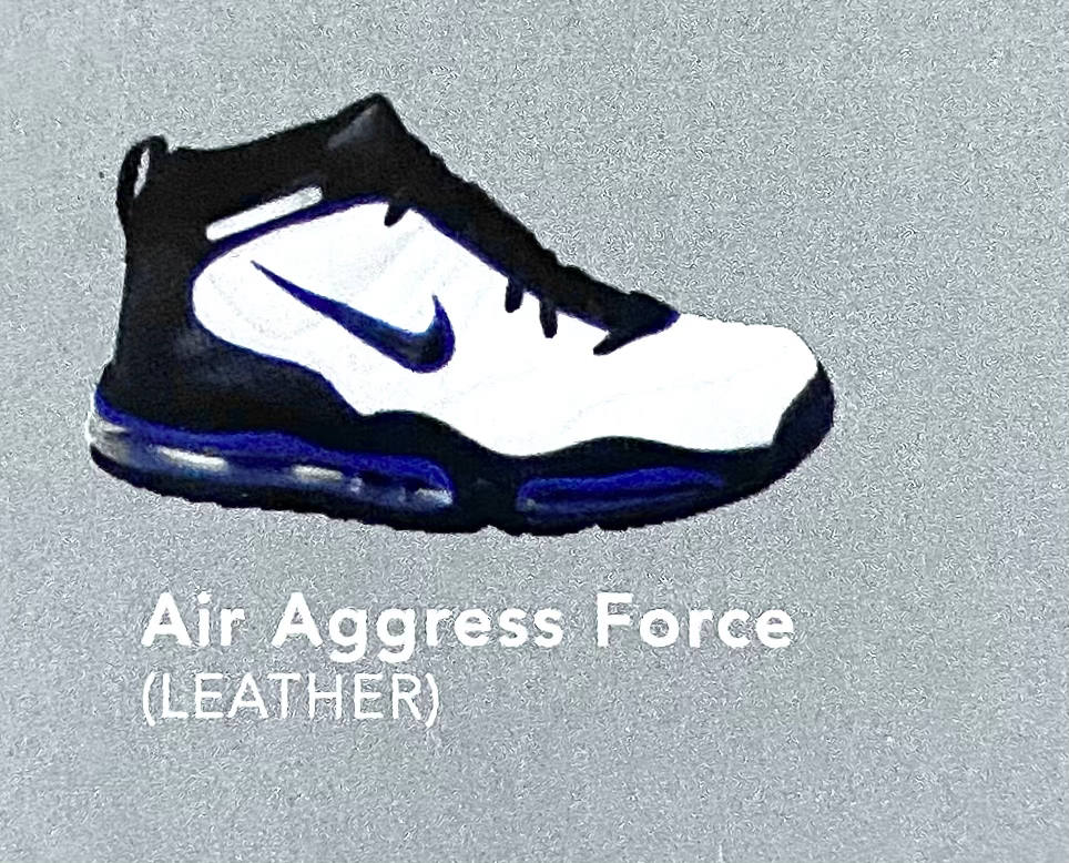 Nike Air Aggress Force. 