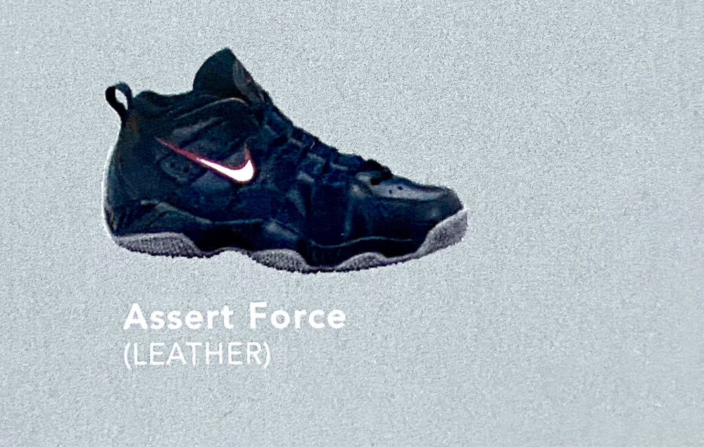 Nike Air Assert Force. 