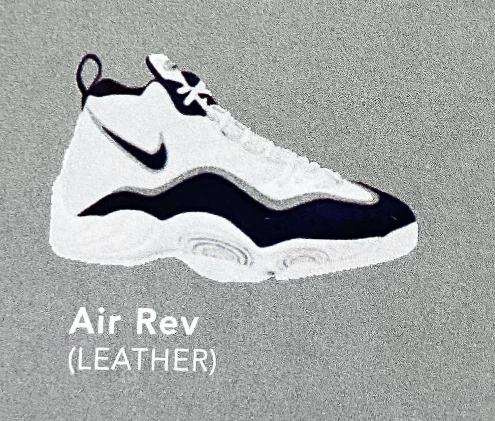 The Nike Air Rev. 