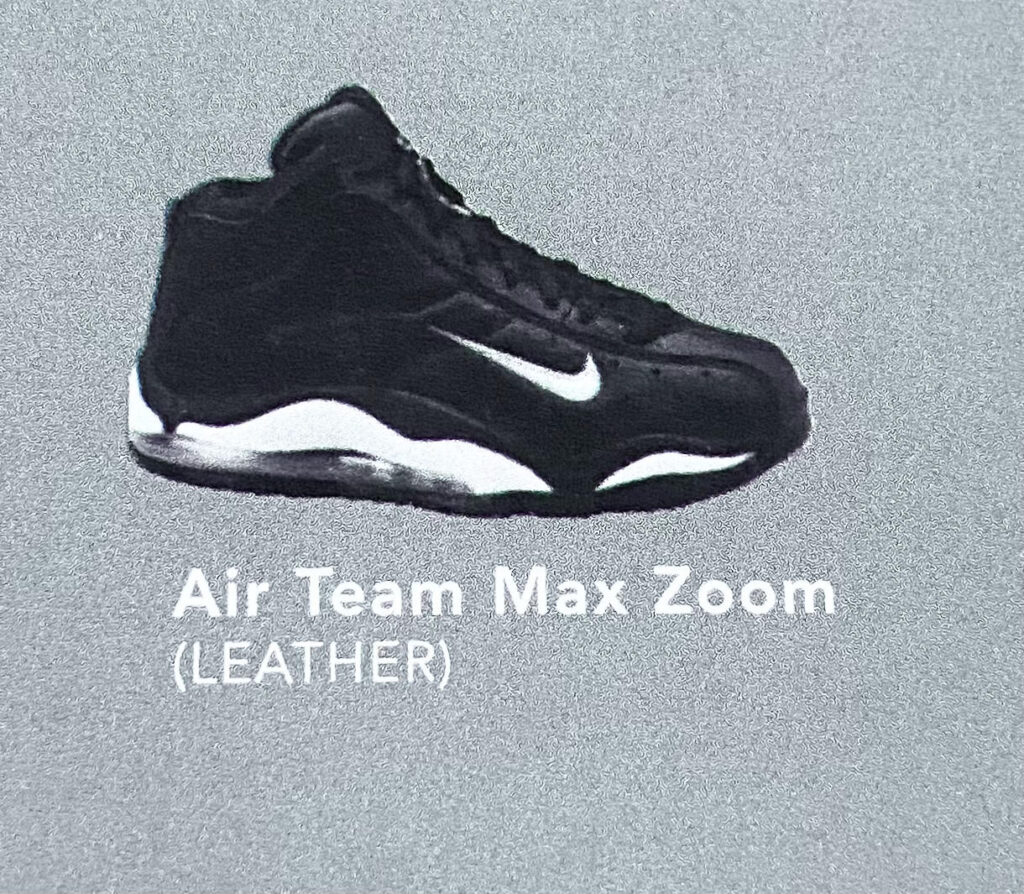 The Nike Air Team Max Zoom. 