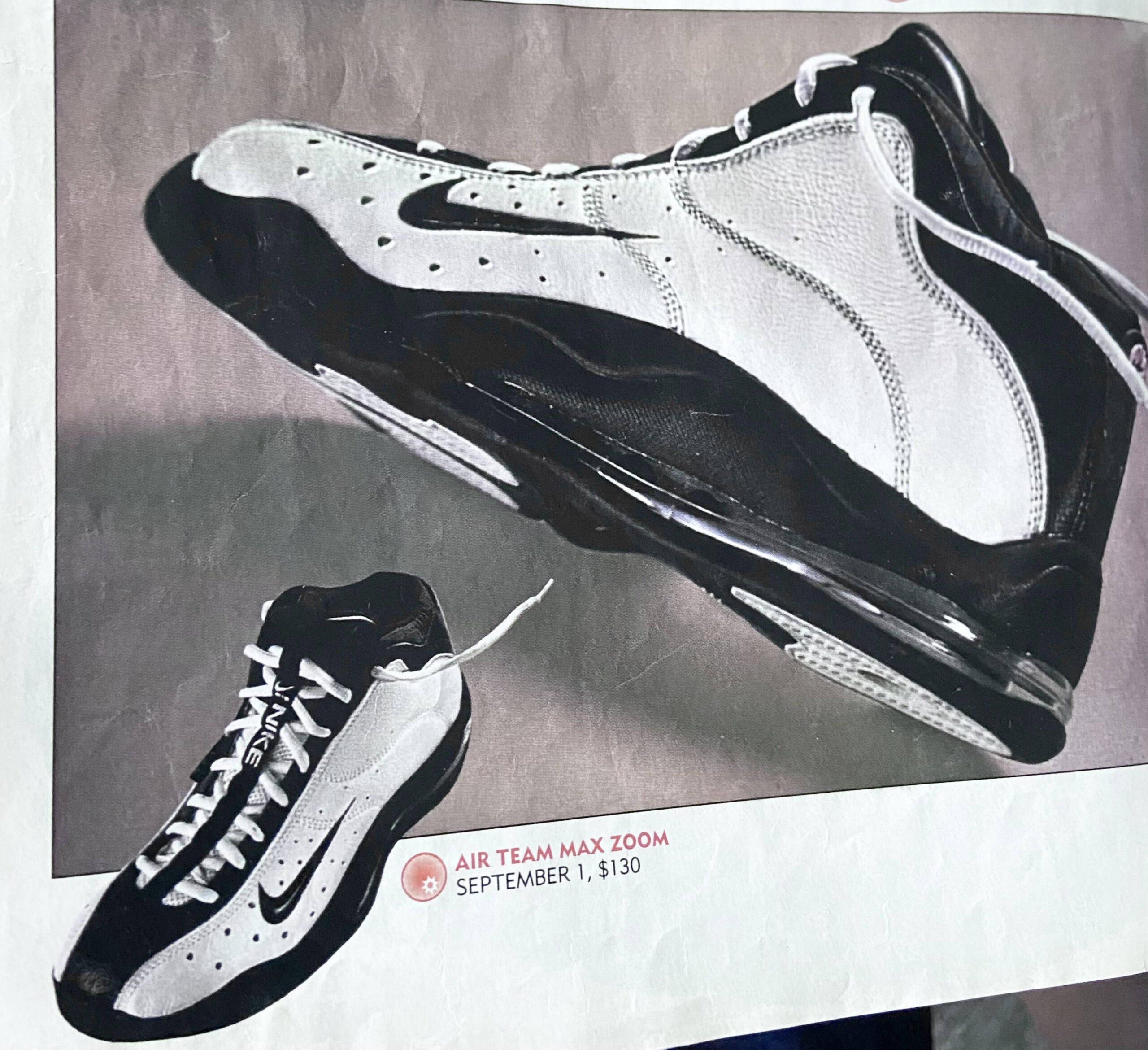 Awareness: Nike Air Team Max Zoom (1998) - KICKSIGMA
